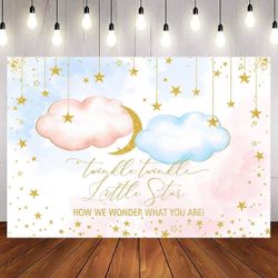 Twinkle Twinkle Gender Reveal Decorations