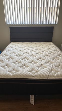 Queen Bed