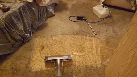 Carpet cleaning