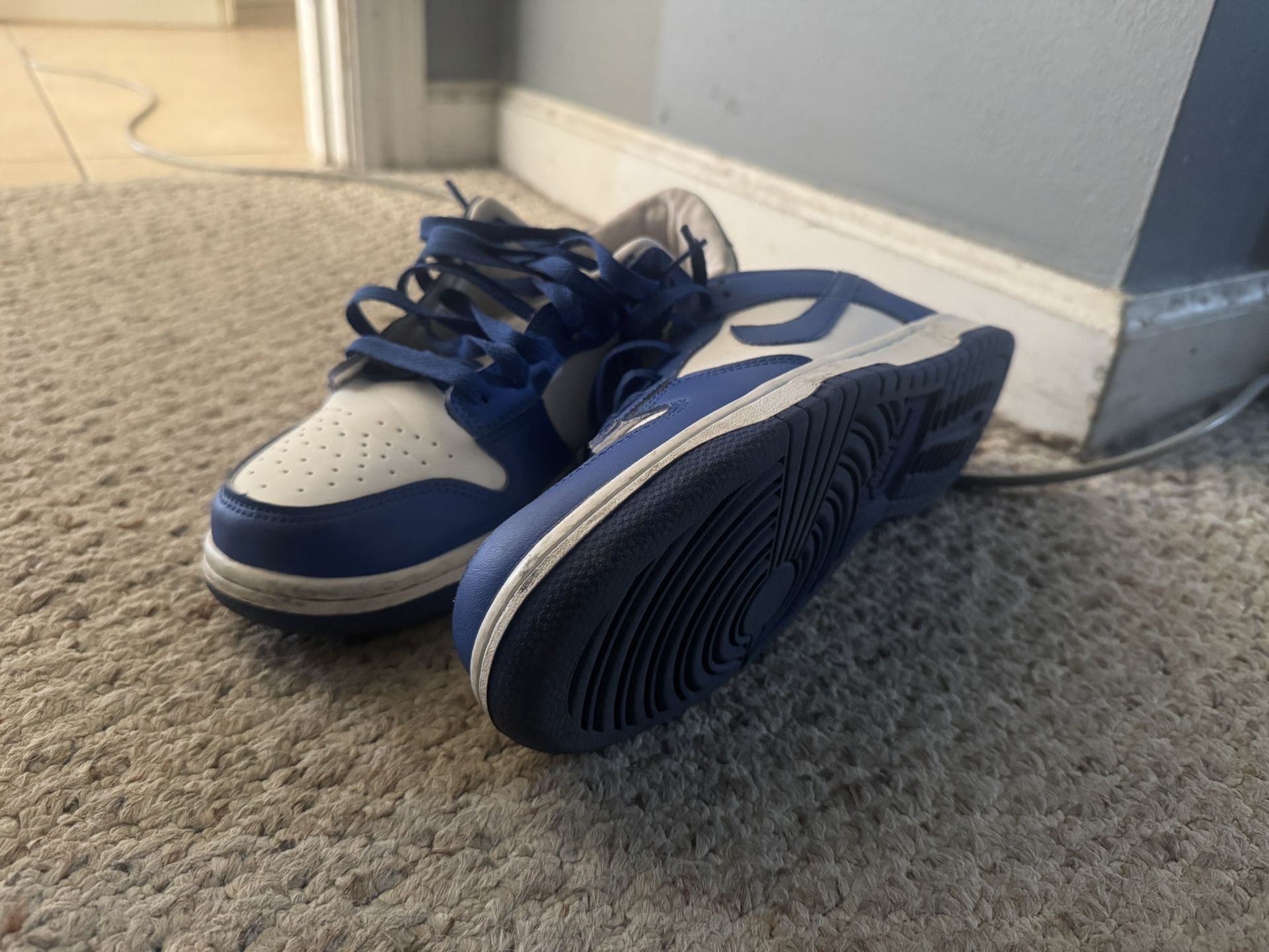 Nike Dunks