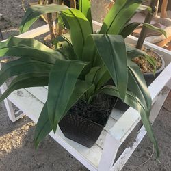Small Fake Decor Plant 