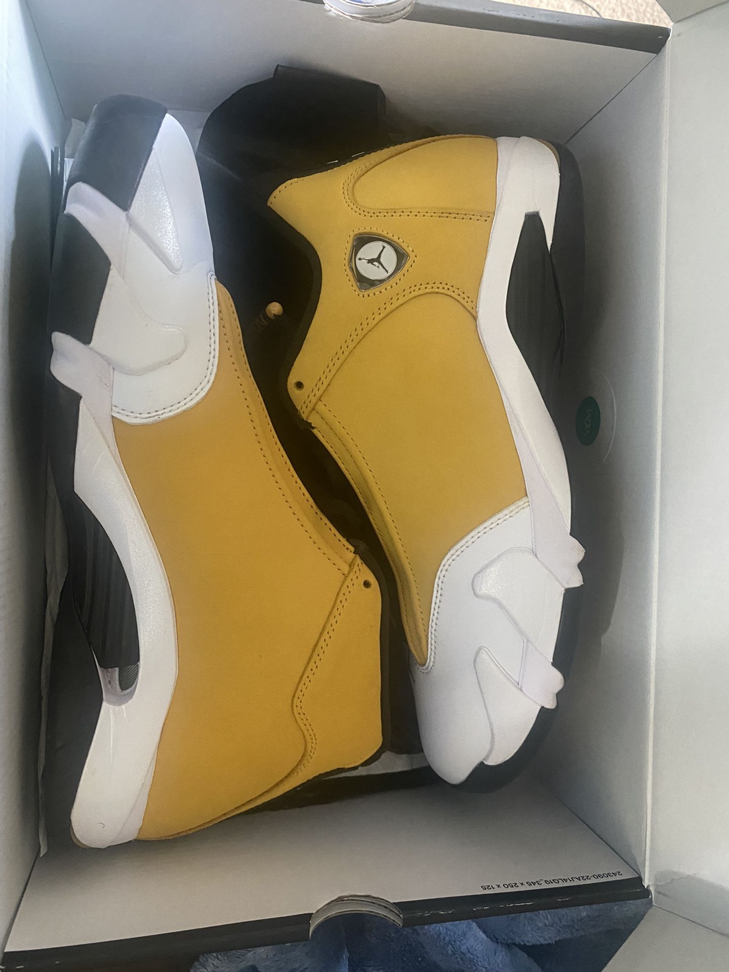 Jordan Ginger 14s