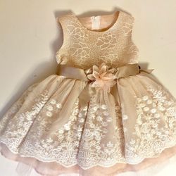 Bonnie Baby Blush Flowered Dress Size 12 Months
