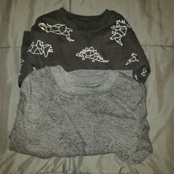 2t Dino Sweatshirts