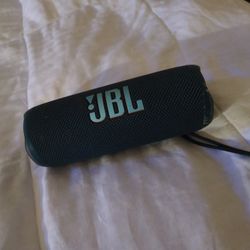 JBL Flip 6