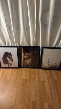 Set of three 16x20 frames