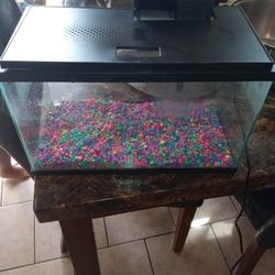 5 Gallon Fish Tank With Filter