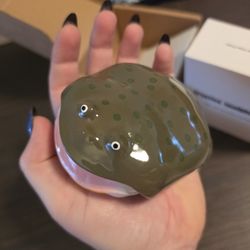 Airpod Pro 3rd Gen Toad/ Frog Case