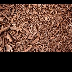 Wood Chips Dump Here