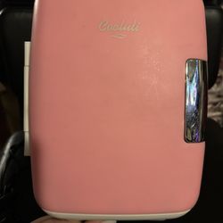 Mini Fridge 
