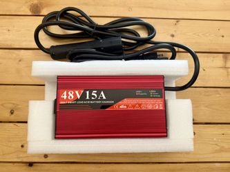 labwork 48V 15A Battery Charger Replacement for EZgo RXV/TXT Golf Cart with RXV Plug