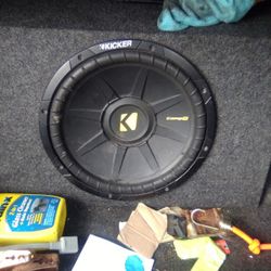 12"  Speaker In Box