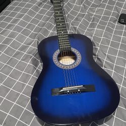 Vizcaya Guitar