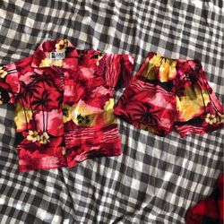 Hawaiian outfit 12 Mo