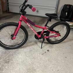 20 Inch Riprock Coaster Bike 