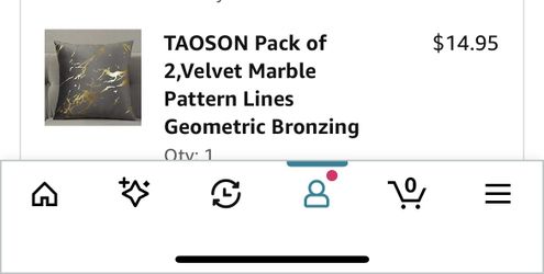 2 18x18 Pillow Cases