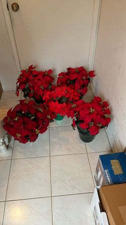 5  ARTIFICIAL  POINSETTIA 