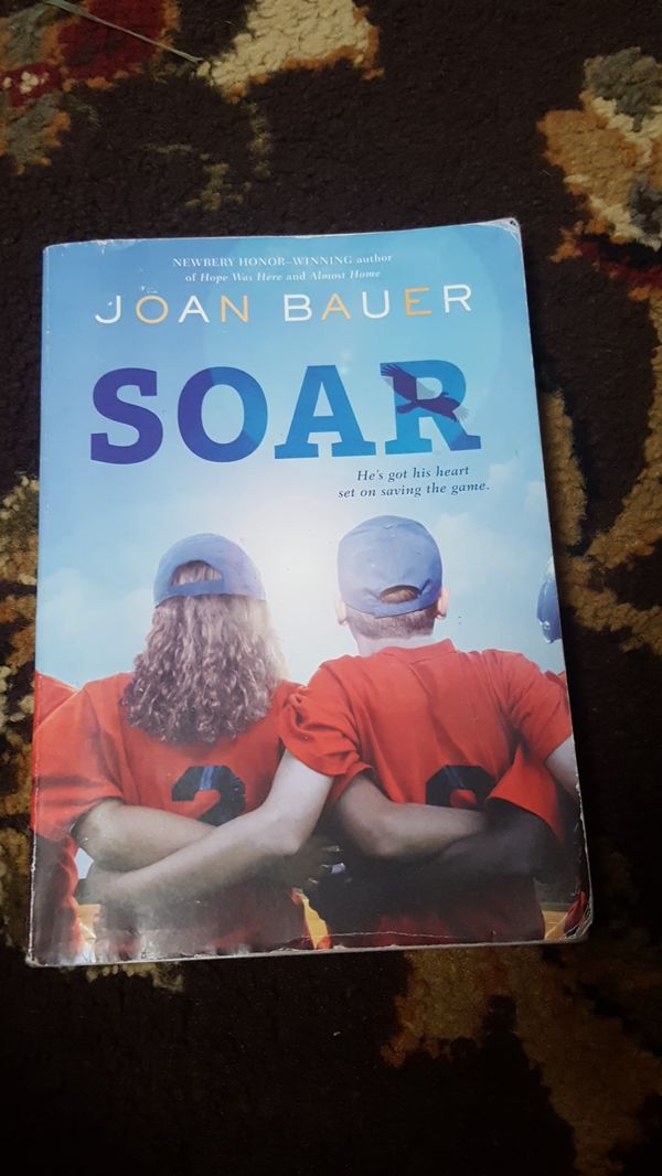 soar by joan bauer soar by joan bauer