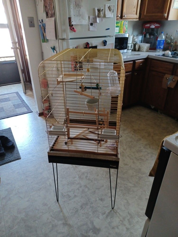 Bird Cage 