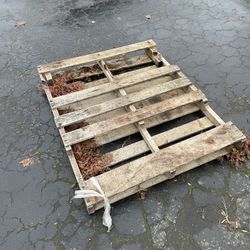Free Wood Pallet