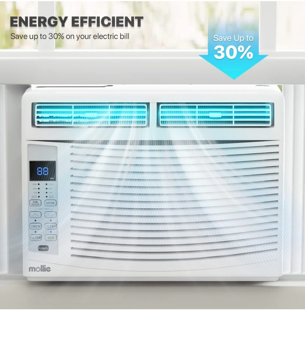 Window Air Conditioner