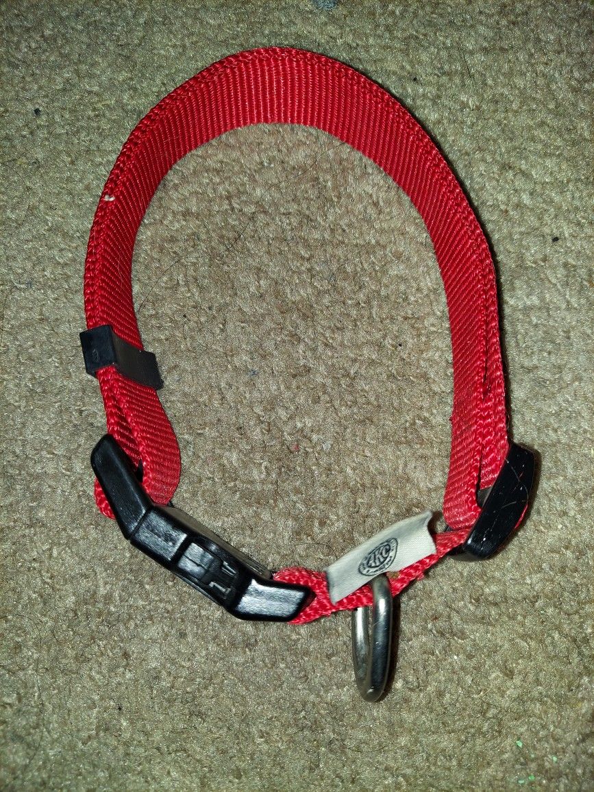 American Kennel Club Large Or XL Collar