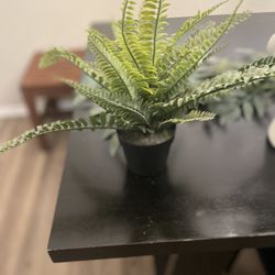Faux Plant
