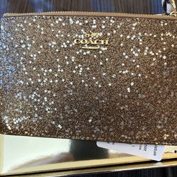 Coach Sparkle Wristlet