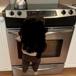 Free Stove / Free Range  Glasstop Stove Frigidaire