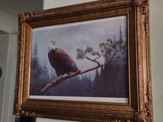 Vintage eagle picture wood, frame glass in front perfect