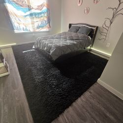 Final Sale: Deadline December 15 - Black Carpet