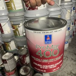 Primer Paints New