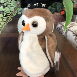 Beanie Baby Wise
