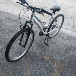 Bike Roadmaster