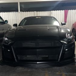 2018 Ecoboot Mustang