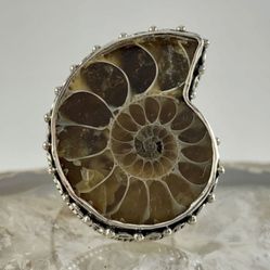 New Beautiful Ammonite Nautilus Ring In Sterling Silver