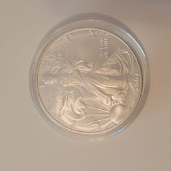 2007 Silver 1 Ounce Liberty