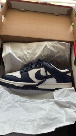 Nike Dunk Low Retro 8.5