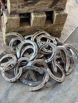 Horse shoes
