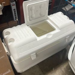 Igloo hard cooler