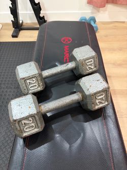 20 Pound Dumbbells Pair