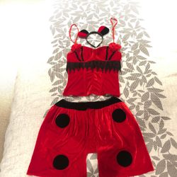 Lady bug costume like new