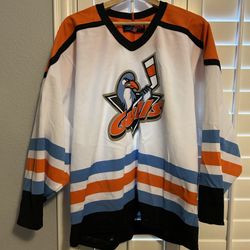 VTG 90S NHL SAN DIEGO GULLS HOCKEY JERSEY AUTOGRAPH PLAYERS SIZE MEDIUM RARE