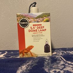 Reptile Lamp