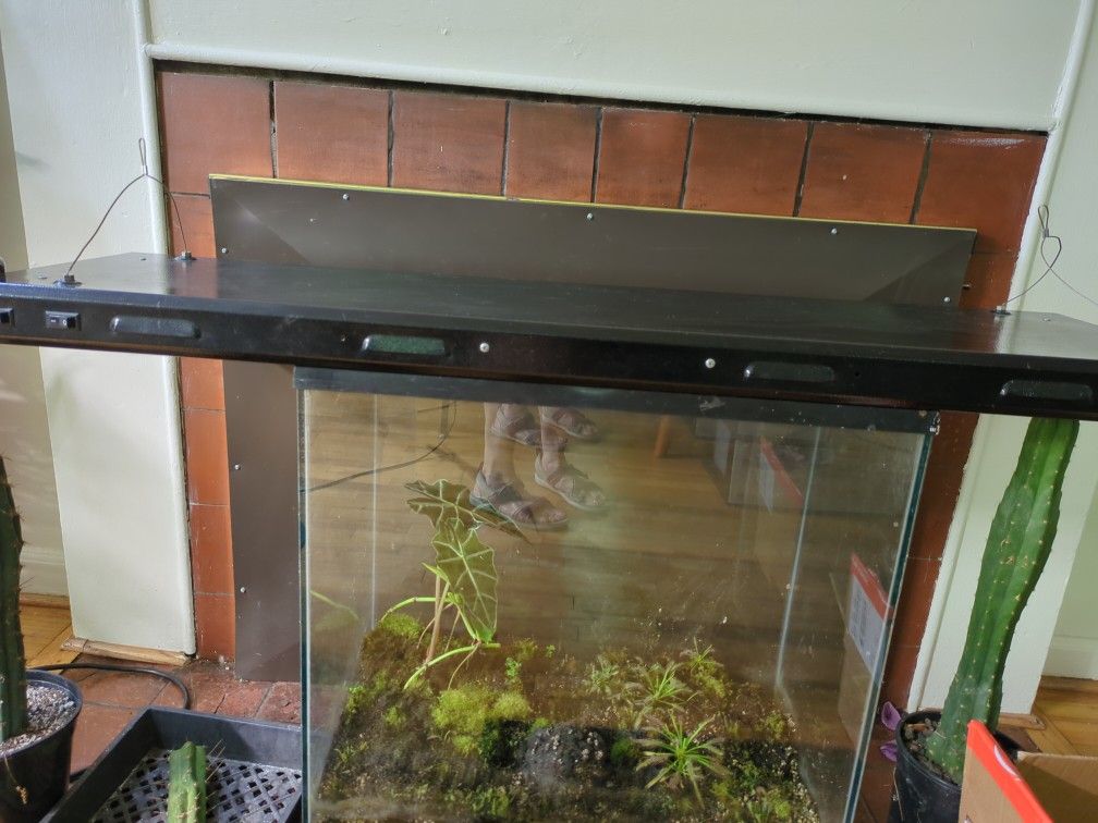 REDUCED! T5 Large Grow Light Fixture With Two Bulbs