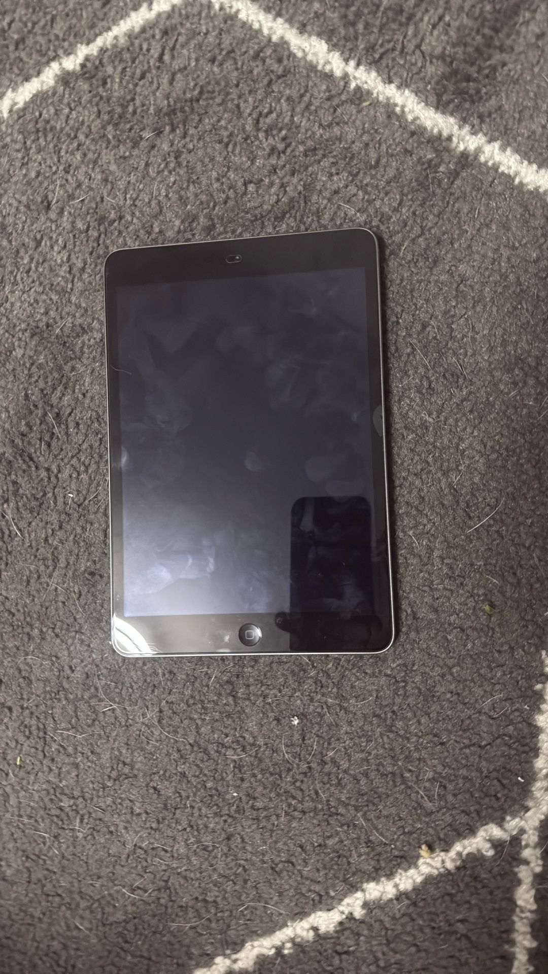 iPad Mini 2