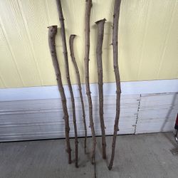 Walking stick project