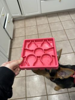 Dog Slow Feeder