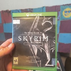 Skyrim 