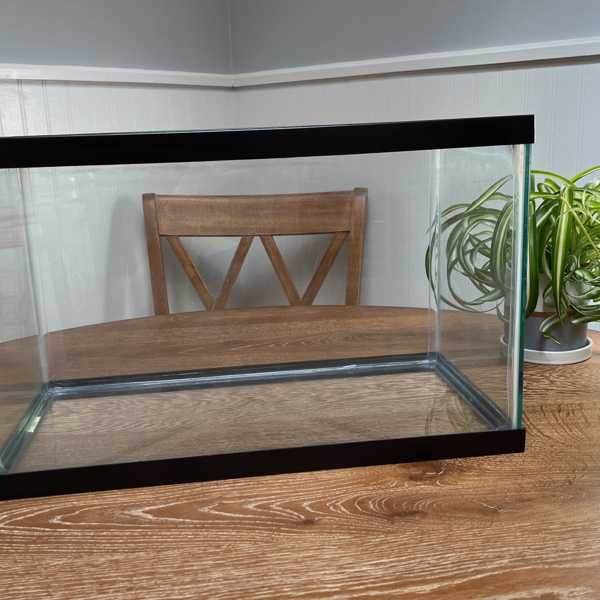 10 Gallon Aquarium